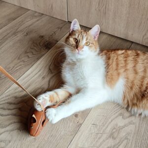 Skórzana mysz dla kota