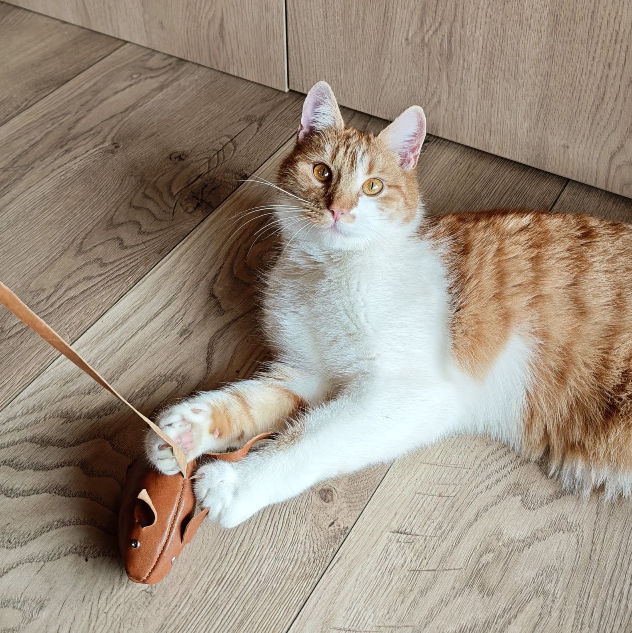 Skórzana mysz dla kota